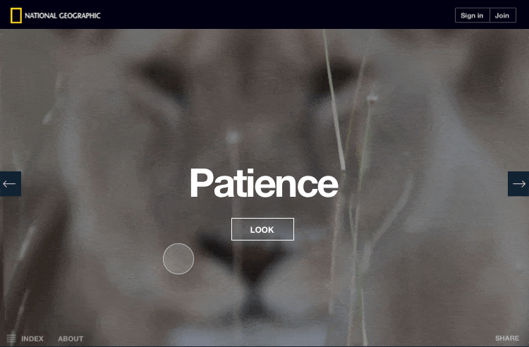 patience-min-1