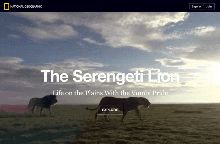 serengeti-lion-start-min2