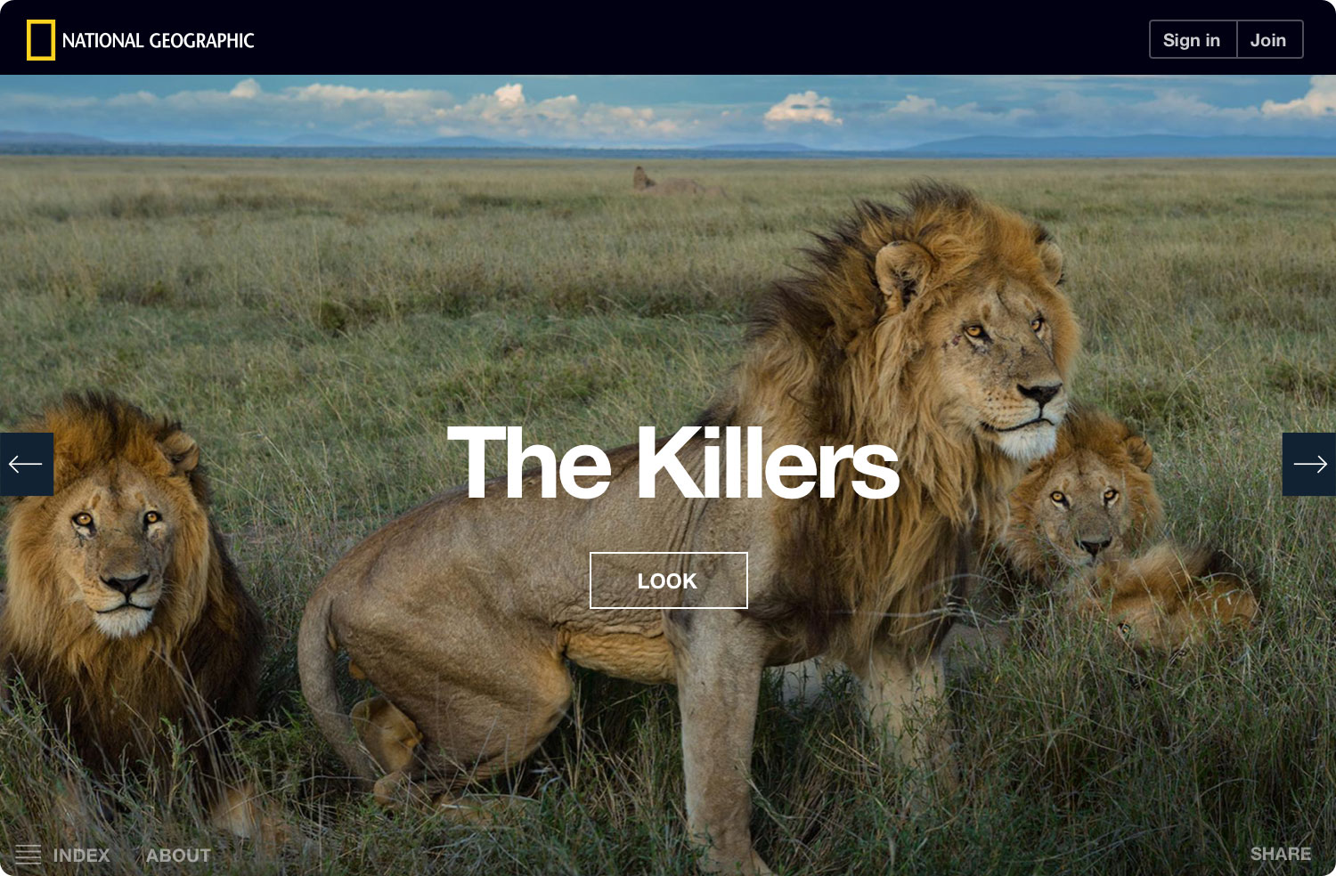 ng-serengeti-lion-killers-noshadow