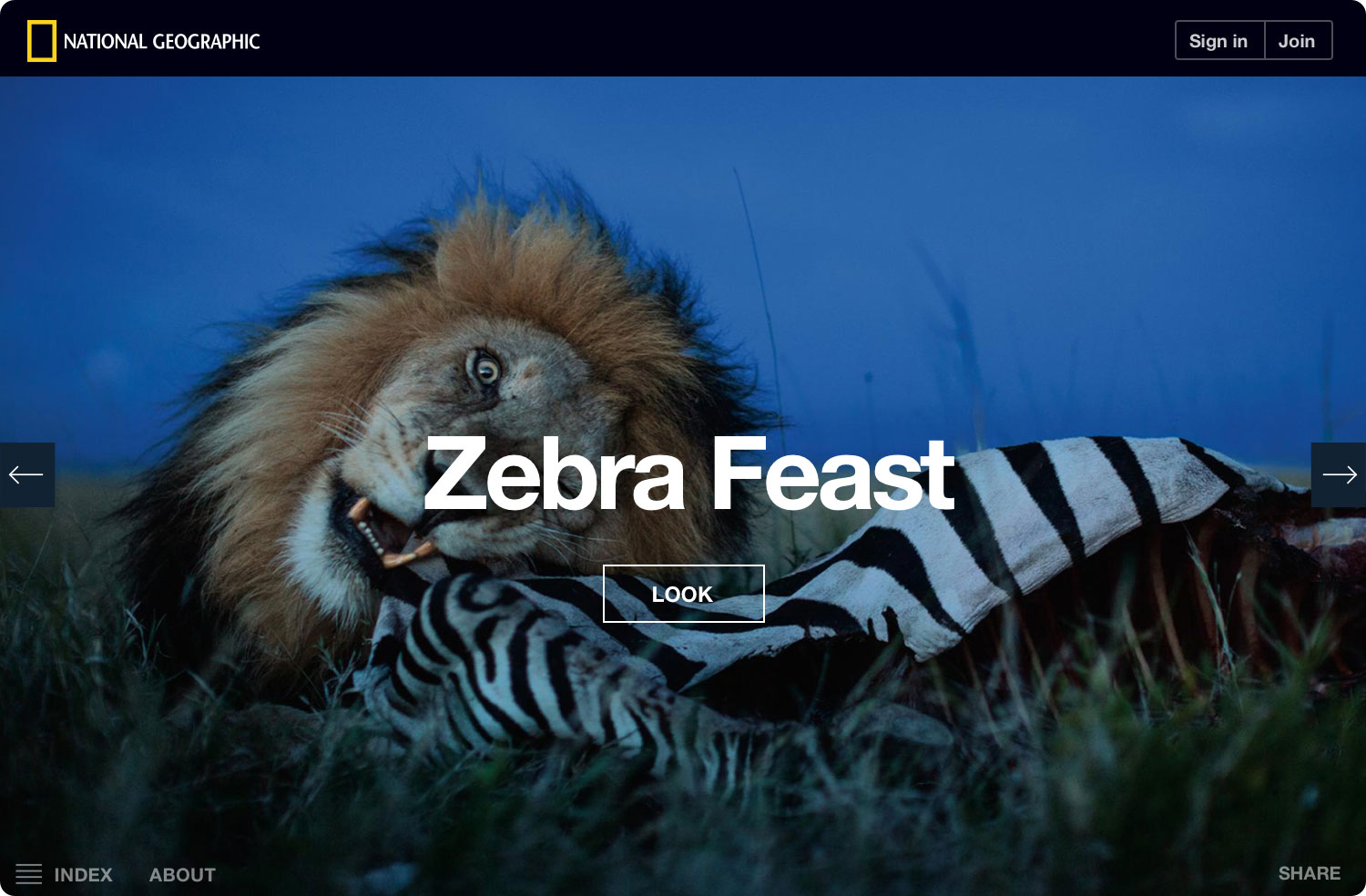 ng-serengeti-lion-zebra-feast-noshadow