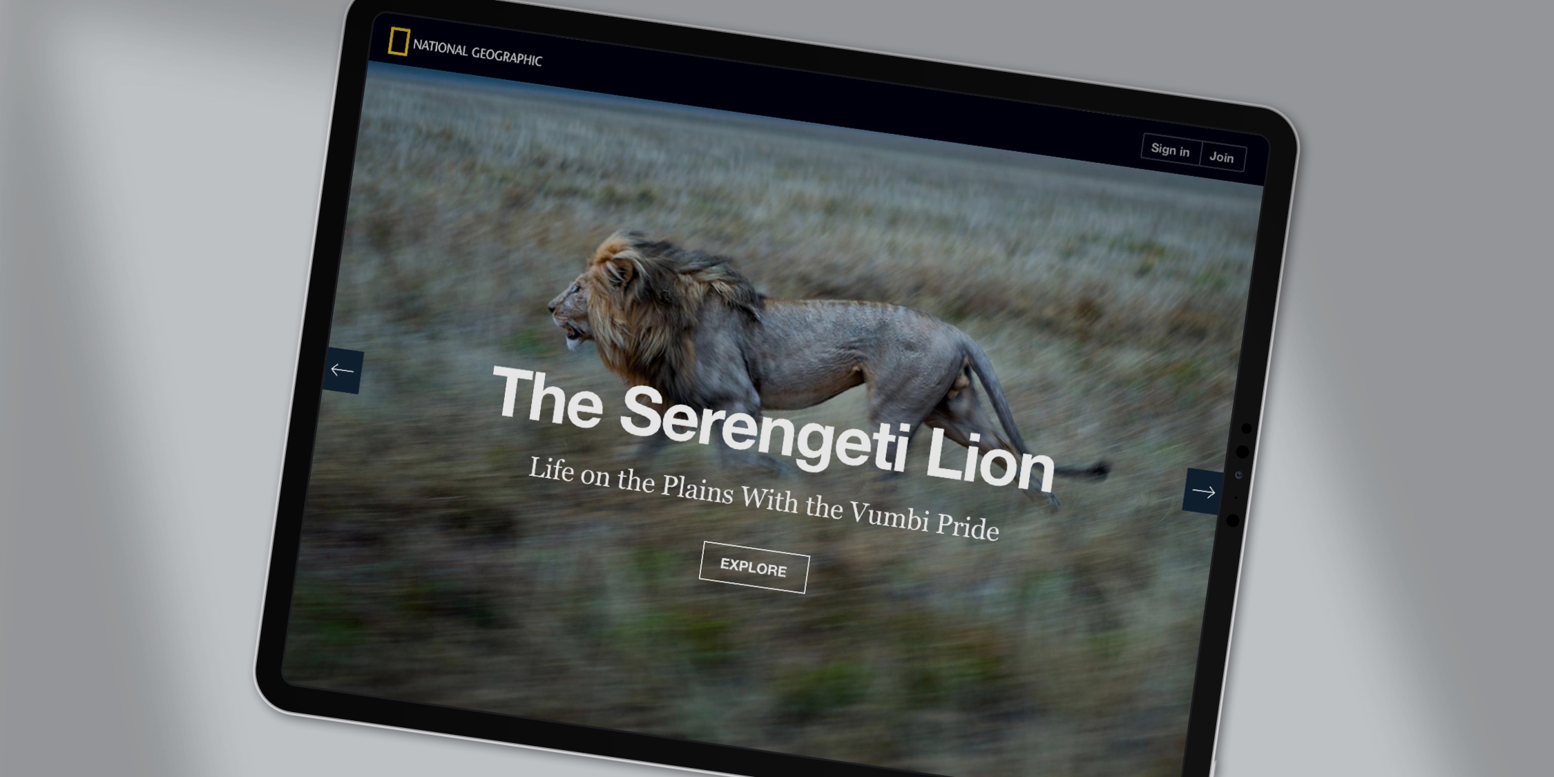 next-prev-serengeti-lion-2-2
